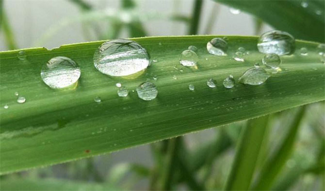 春風(fēng)十里，不如室內(nèi)這抹綠“迷醉”你！-別墅設(shè)計(jì),軟裝設(shè)計(jì),室內(nèi)設(shè)計(jì),豪宅設(shè)計(jì),深圳例外軟裝設(shè)計(jì)公司
